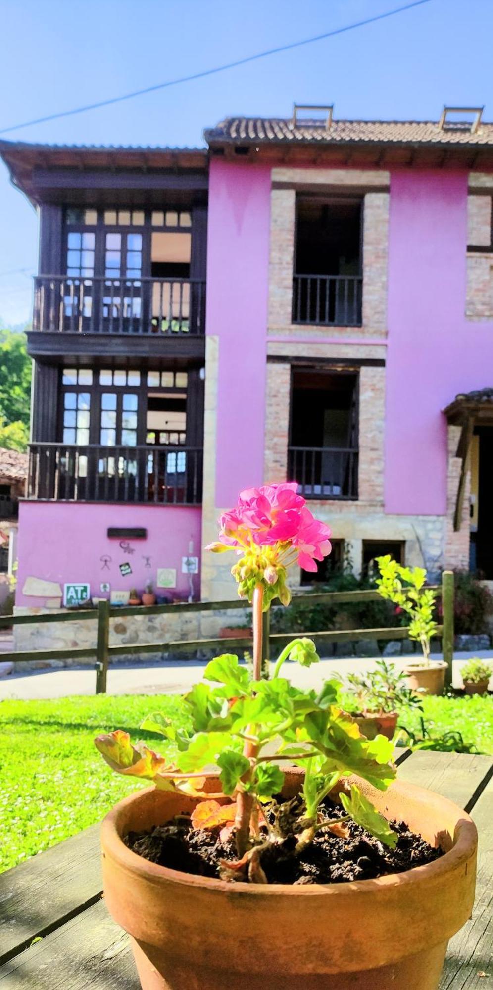 Casa Florenta Las Rozas Bagian luar foto